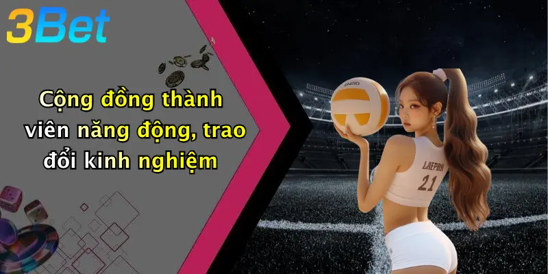 Cộng đồng thành viên năng động, trao đổi kinh nghiệm